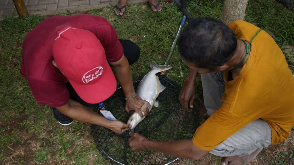 Trik memancing ikan patin