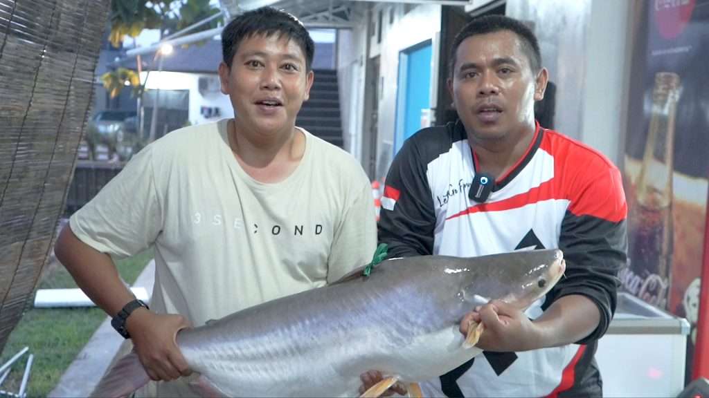 Jackpot Patin di PKJ