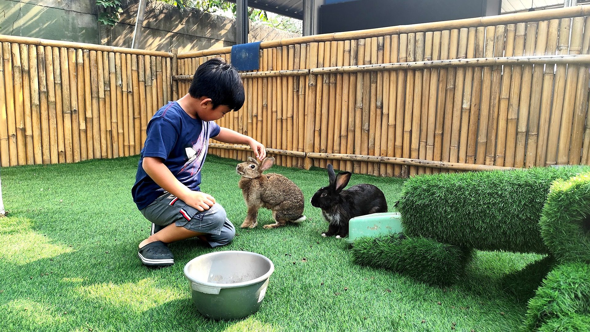 5 Keseruan bermain bersama Kelinci di Pemancingan Kohod Jaya