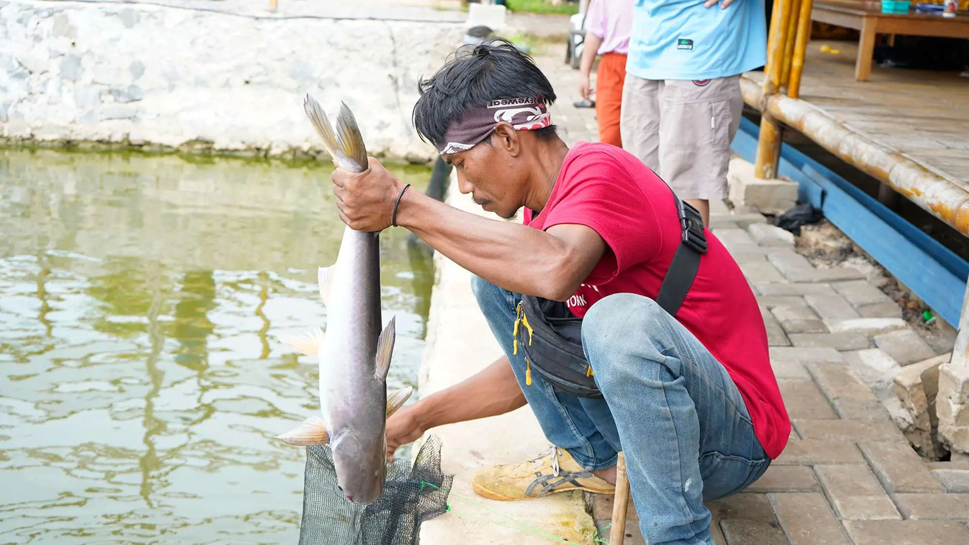 Mengenal Ciri Ciri Ikan Patin di Pemancingan Terbaik Tangerang