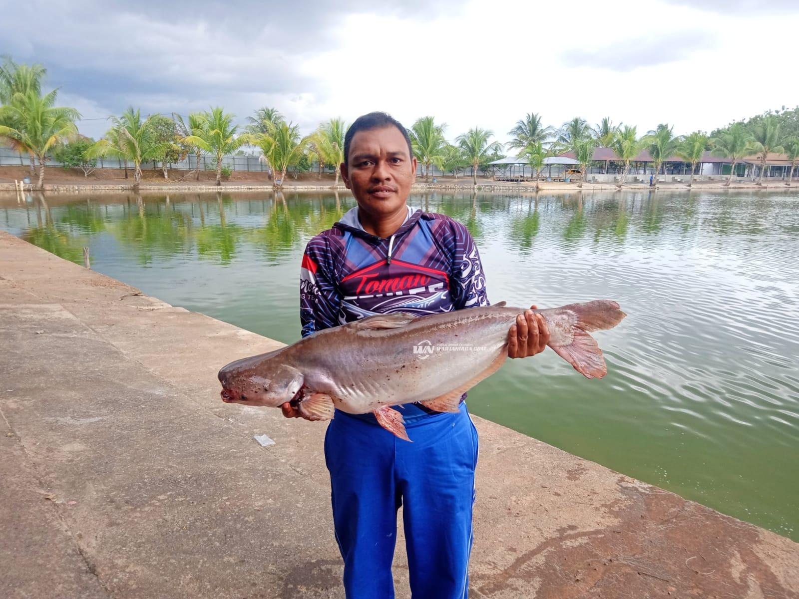 7 Ikan Air Tawar Favorit Para Pemancing Indonesia! Kamu Yang Mana ?