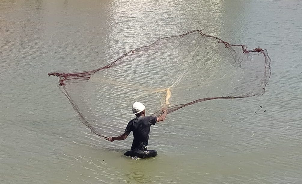Jala Ikan