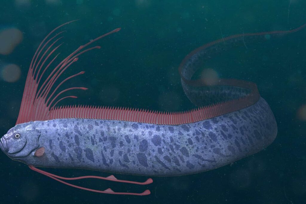 Ikan Oarfish