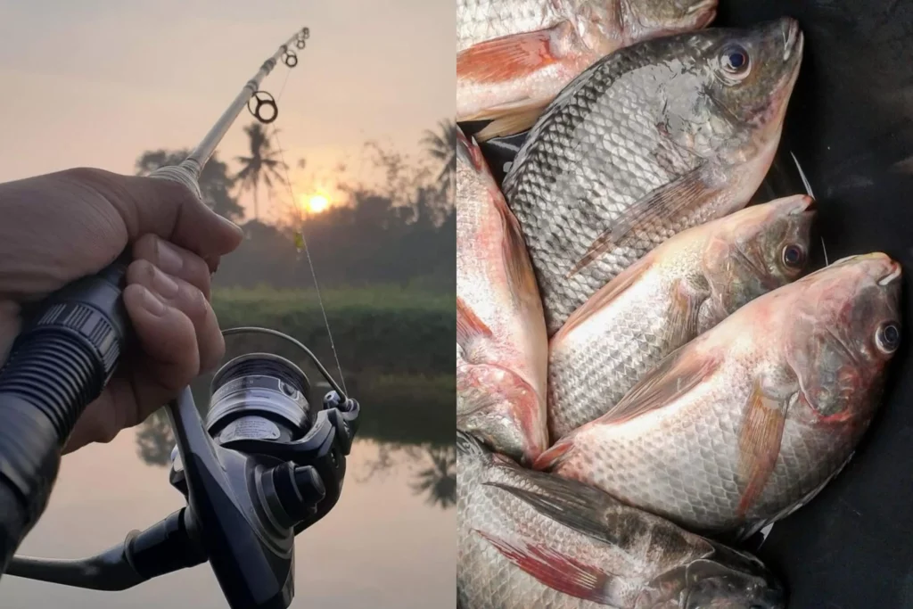 pancing ikan