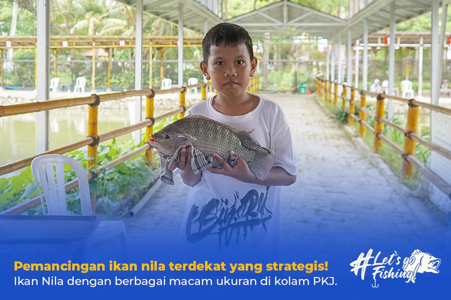 Pemancingan ikan nila terdekat yang strategis!