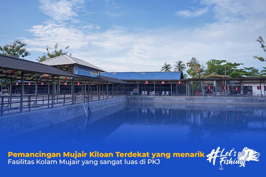 Pemancingan Mujair Kiloan Terdekat yang menarik