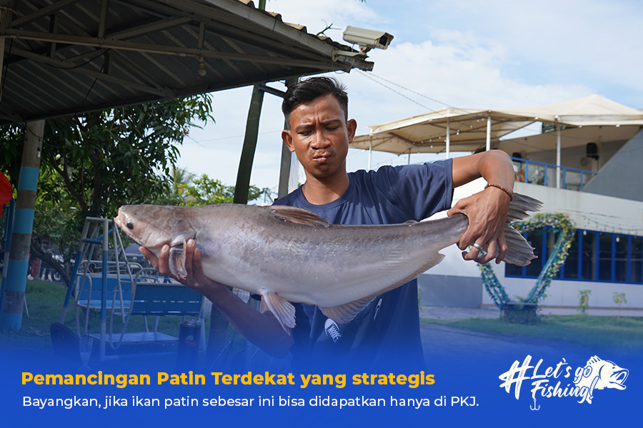 pemancingan patin terdekat