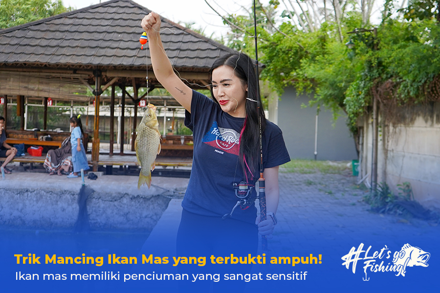 trik mancing ikan mas