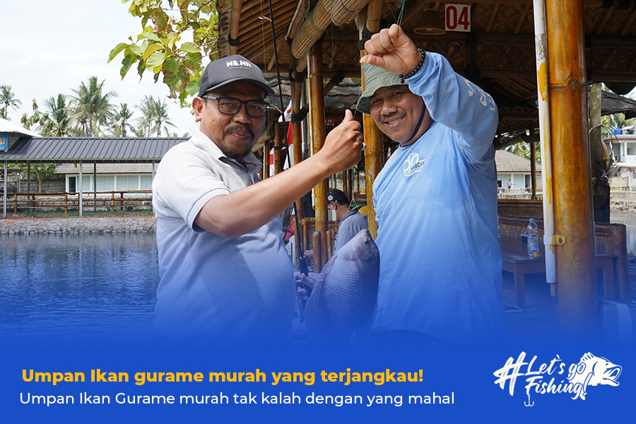 5 Umpan Ikan Gurame Murah yang Wajib Dicoba bagi pemula!