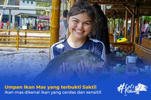 Umpan Ikan Mas yang terbukti Sakti!