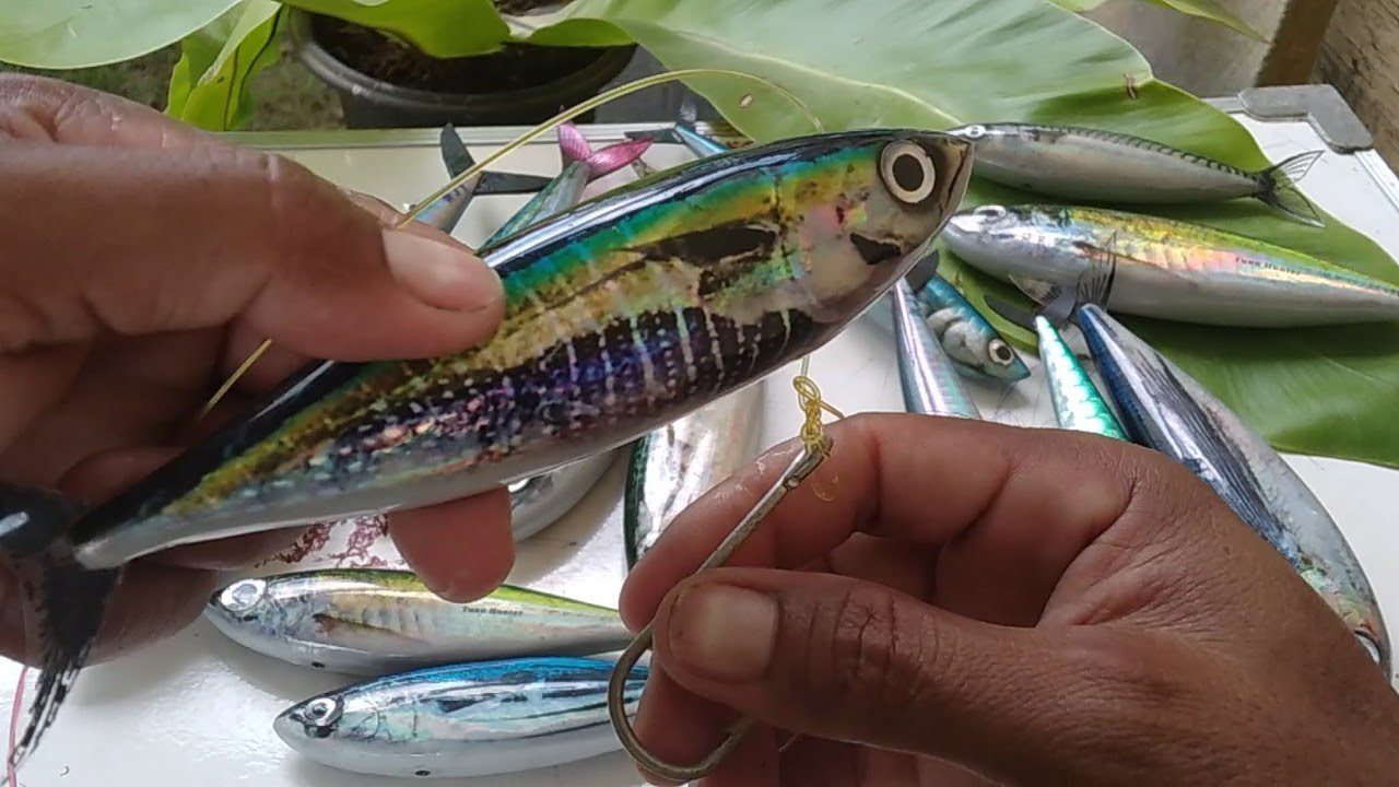 5 Rekomendasi Umpan Ikan Tuna Yang Paling Ampuh